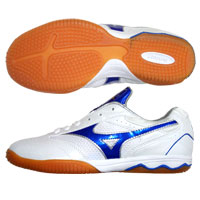 Mizuno�^�E�F�[�u�h���C�u�R