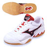 Mizuno/ �E�F�[�u�u���[�h