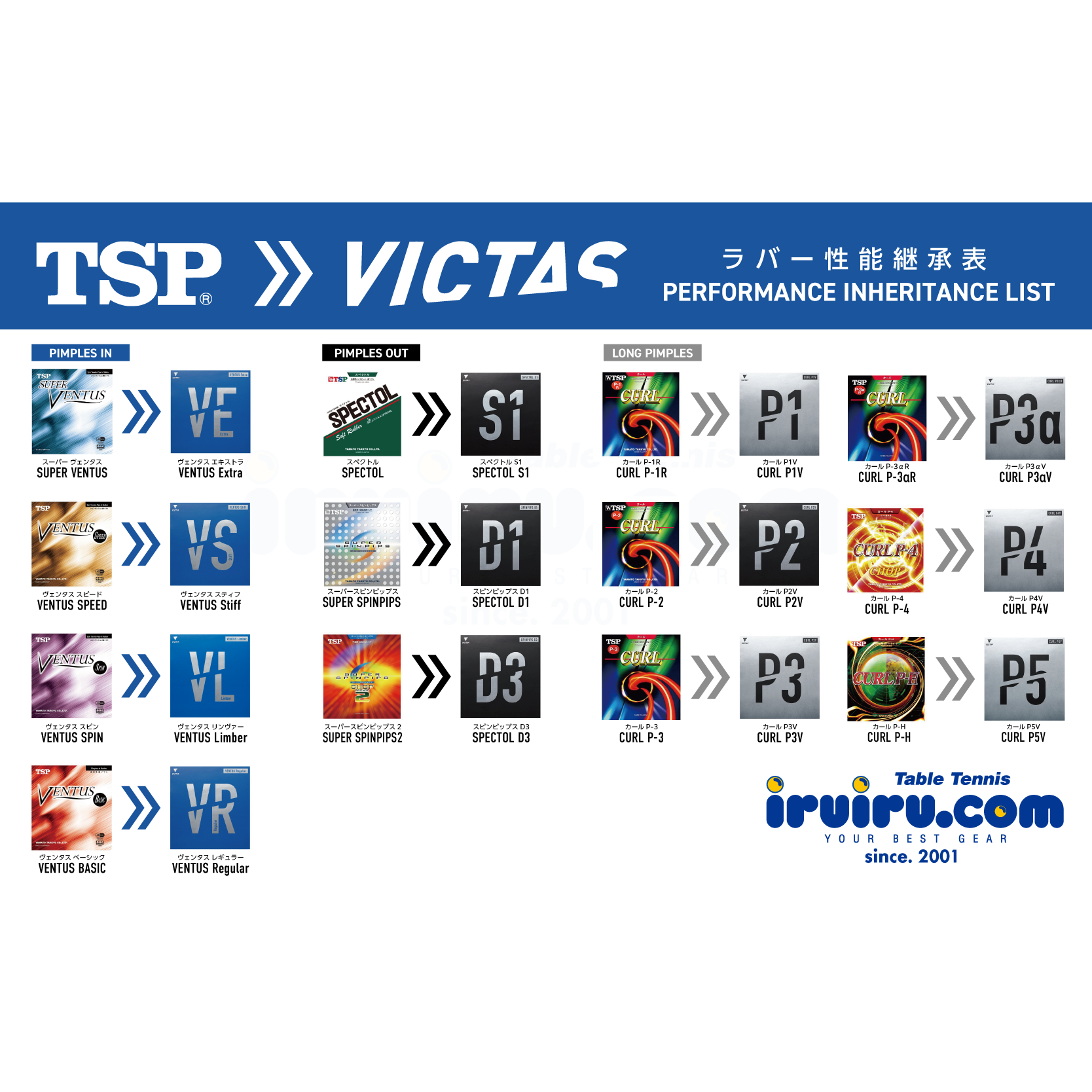 レッド系 VICTAS卓球ラバー CURL P3V 1.0 レッド 通販