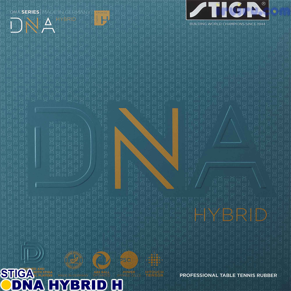 STIGA/DNAハイブリッドM STIGA/DNAハイブリッドM