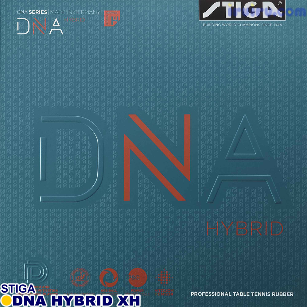STIGA/DNAハイブリッドXH STIGA/DNAハイブリッドXH